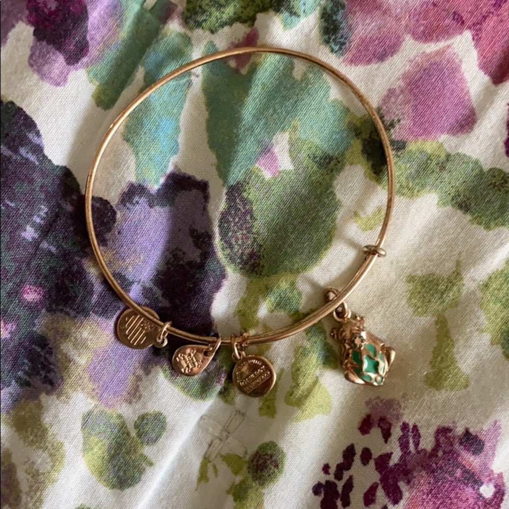 Alex and Ani Frog Prince bracelet